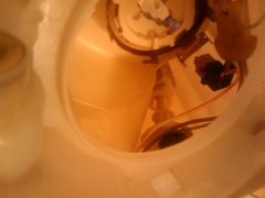 Clip inferiore parabola