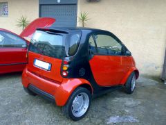 Smartulella Phat Reda.jpg