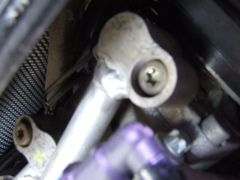 DSCF5622.JPG