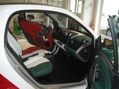 smart tricolore 007.JPG