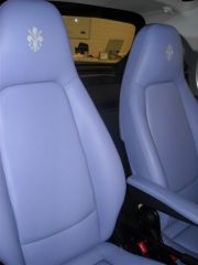 smart fiorentina 03.JPG