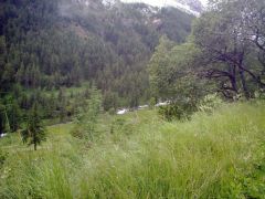 20062010217.jpg