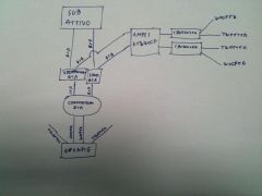Schema impianto