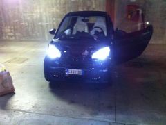 IMG_1386.jpg