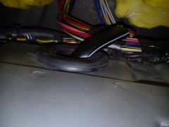DSC 0040