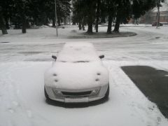 Neve