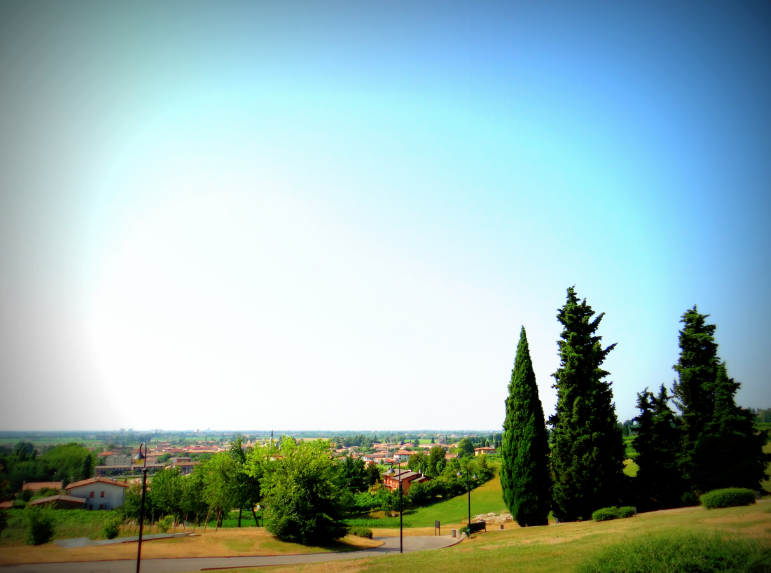 Immagine6