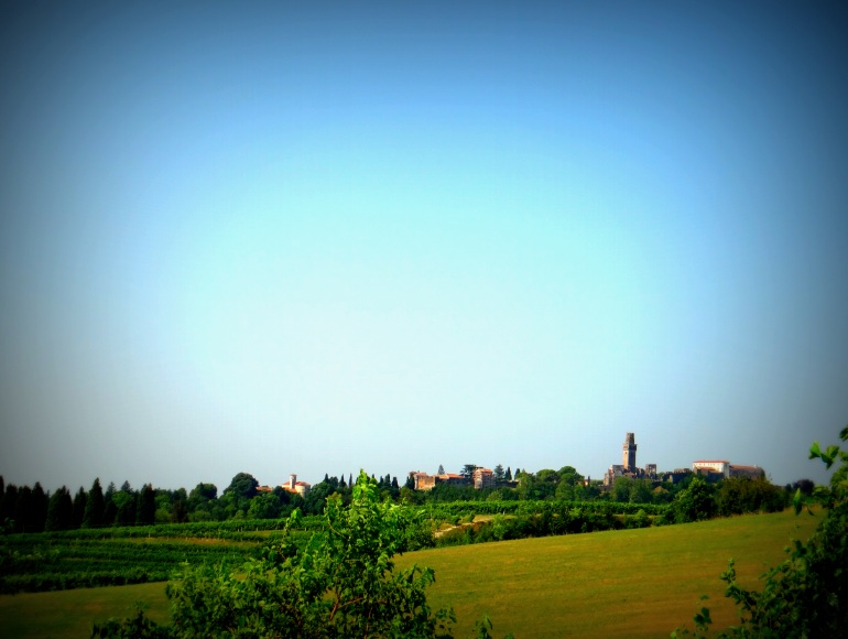 Immagine8