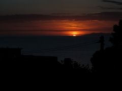 IMG 0519