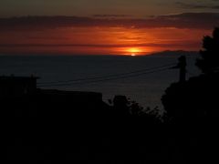 IMG 0520
