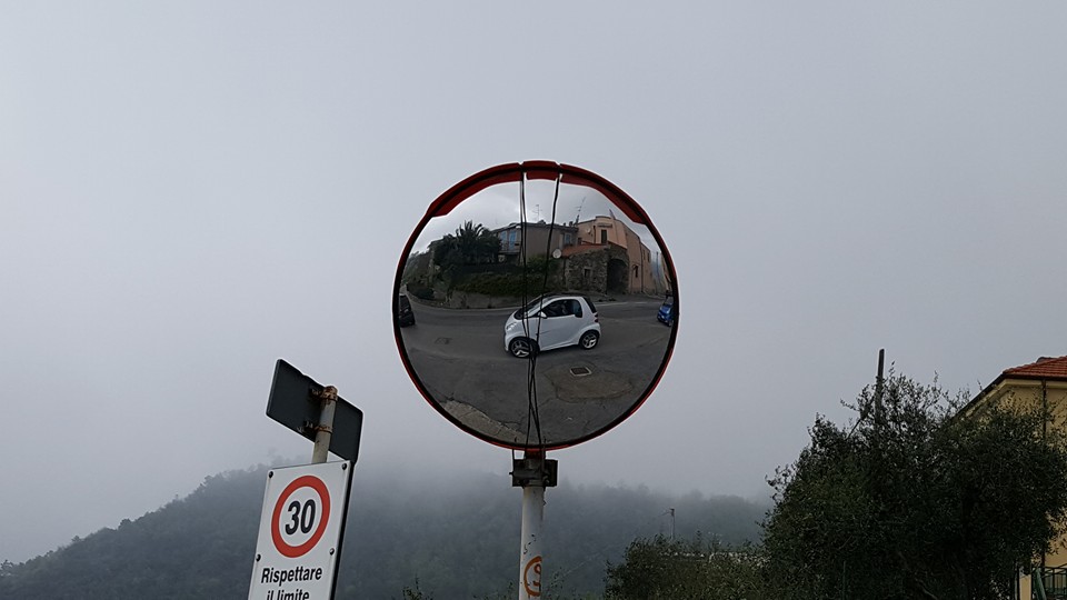 12994499