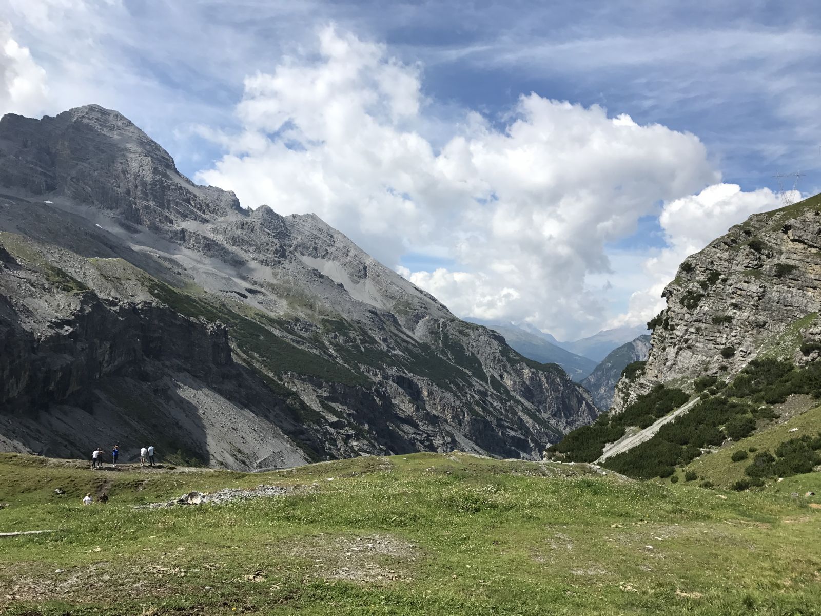 IMG 3571