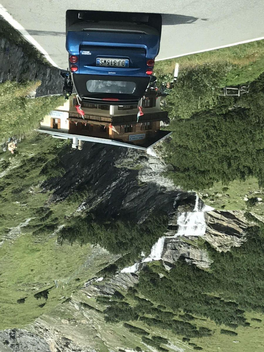 IMG 3552