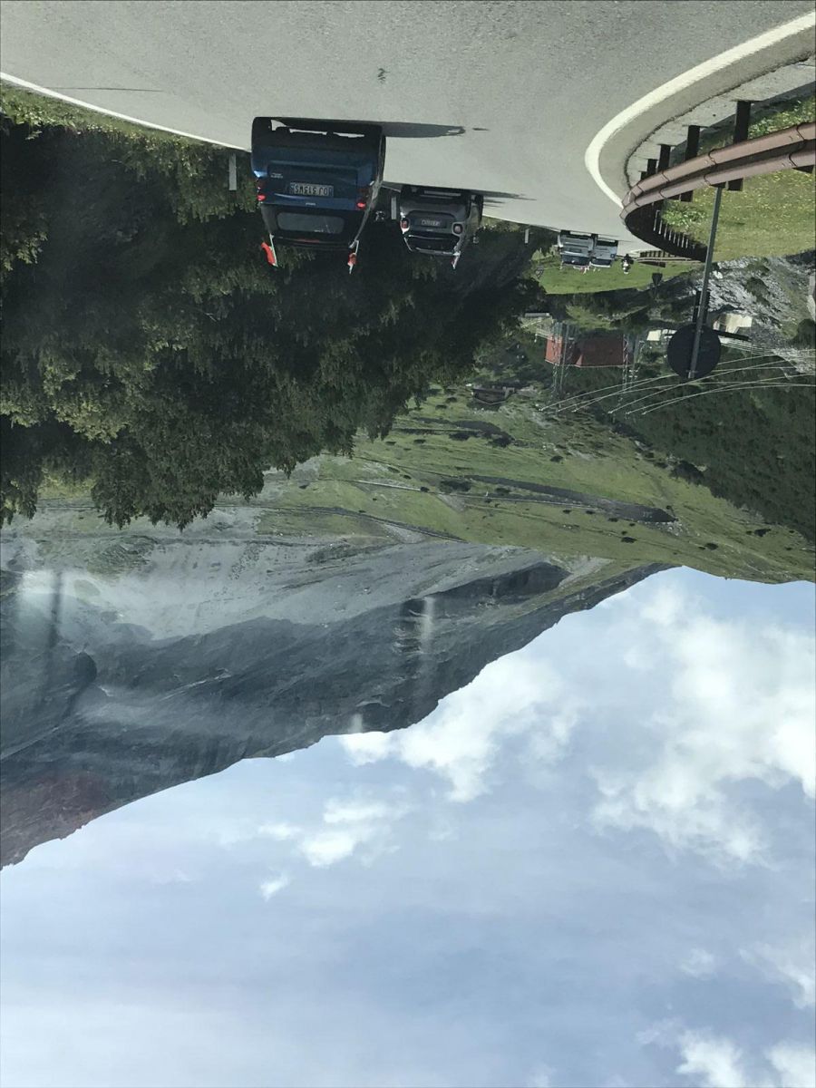 IMG 3547