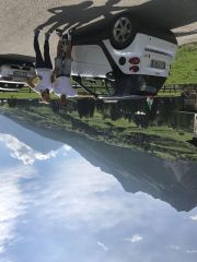 IMG 3533