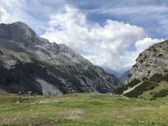 IMG 3571