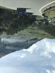 IMG 3547
