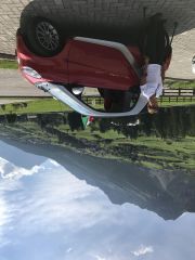 IMG 3536