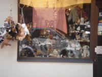 DSC01508.JPG