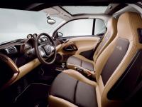 smart_fortwo_edition_10_6.jpg