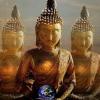 Buddhabar